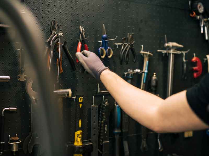 Taller Bike Family